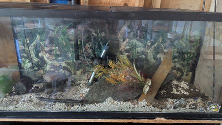60 Gallon For Sale $200