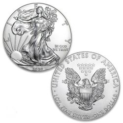 20 Ct tube 2020 Silver Eagles 
