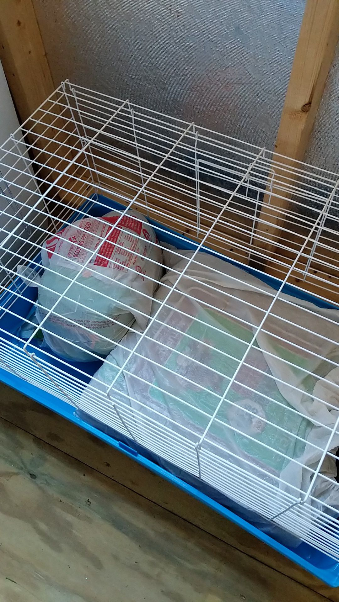 Guinea pig or rabbit cage with all accessories