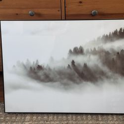 Forest art, Pines, Pine Trees, Fog, Mist, Mountains, clouds