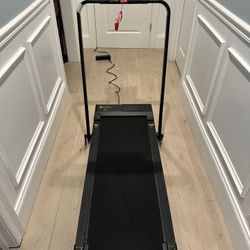 DeerRun 2 In 1 Treadmill