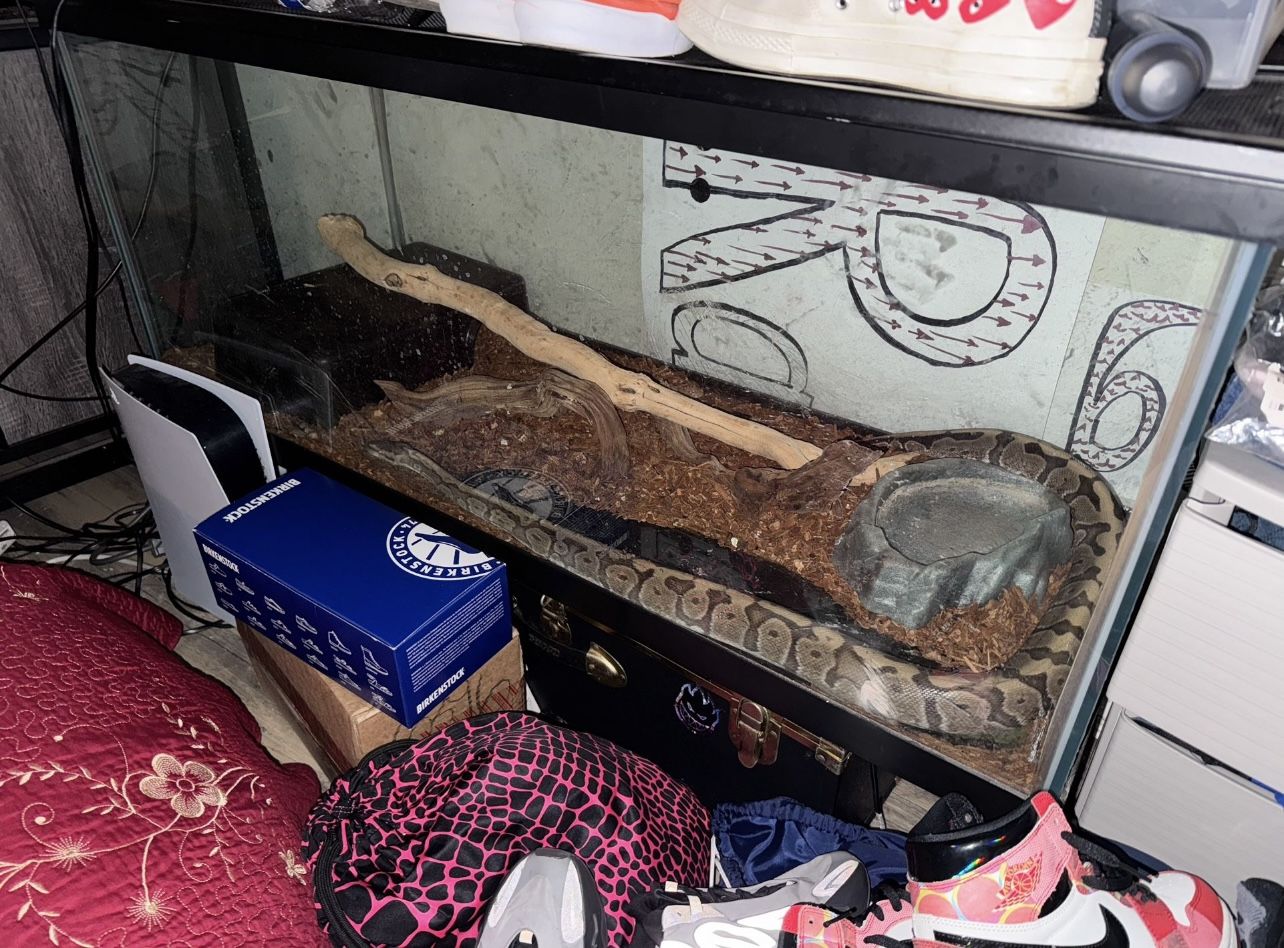 REPTILE TANK—————-EVERYTHING IN TANK $100