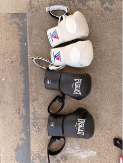 10oz Bag Pro Fight Gloves