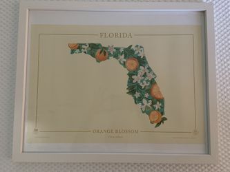 Framed Florida Botanical Print