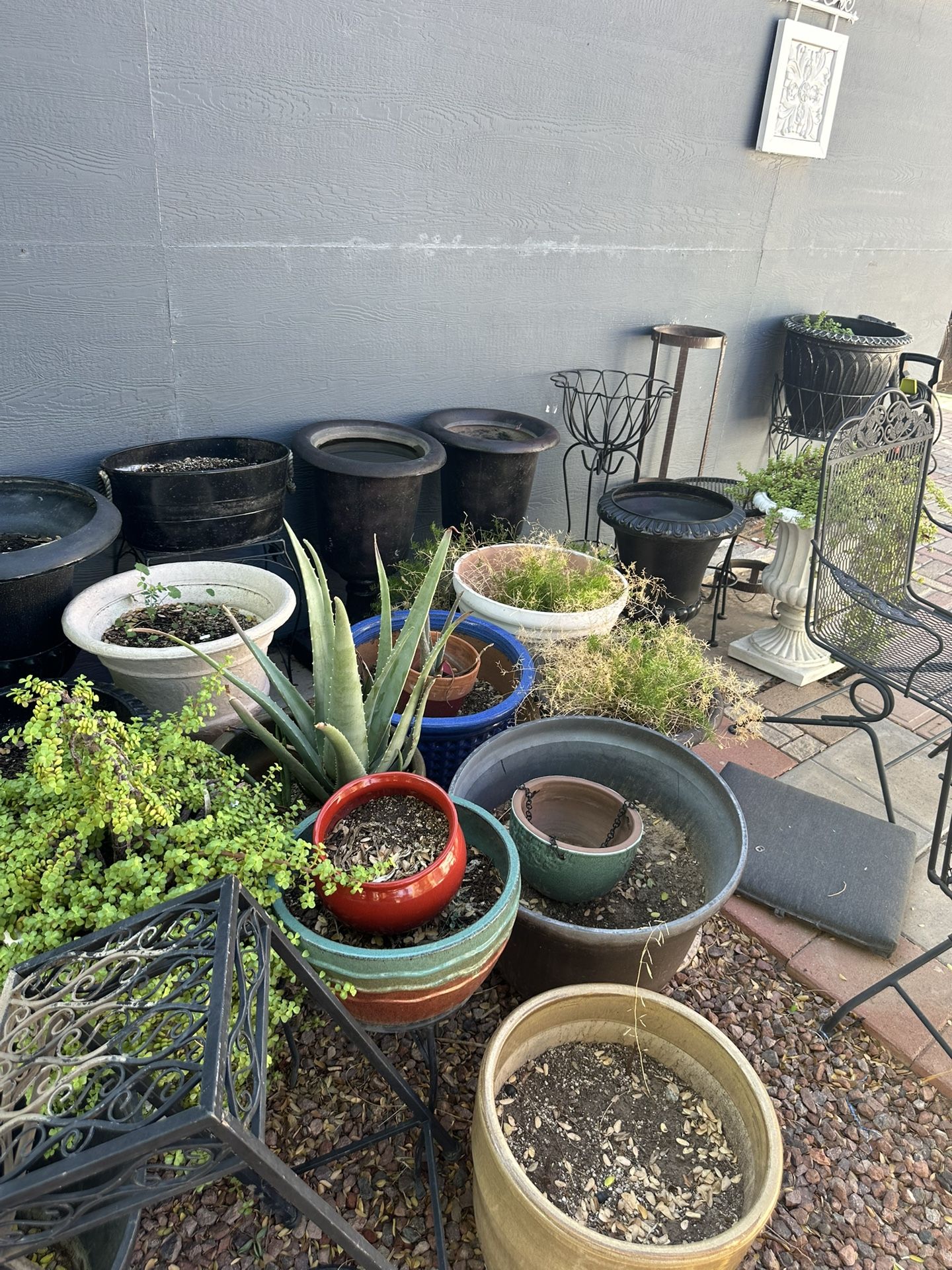 Plants And Pots 