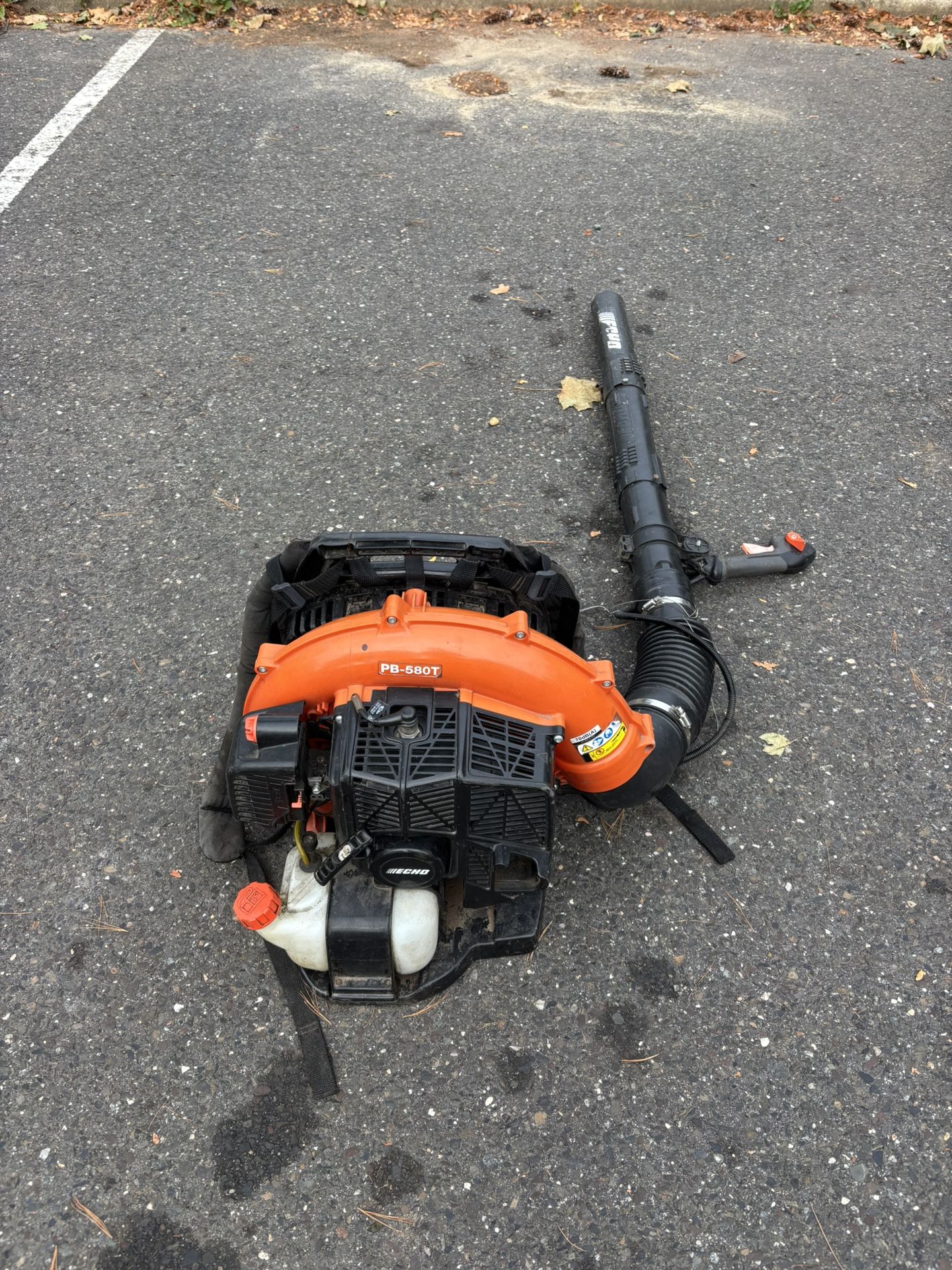 Echo Backpack Blower