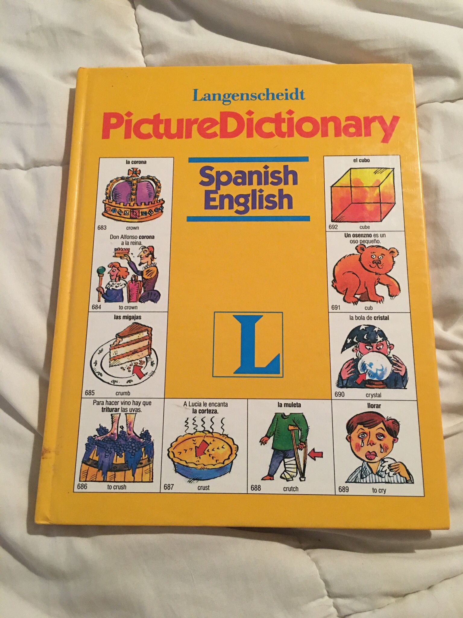 Langenscheidt Picture Dictionary: Spanish/English 