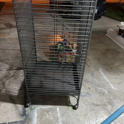Bird Cage 