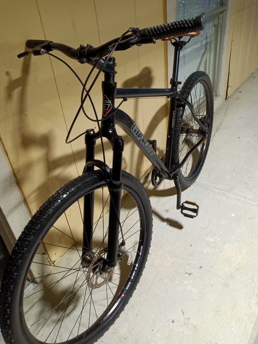 gravity 29er single speed