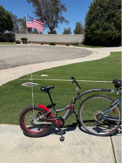 WeeRide Co Pilot Tag Along Bike