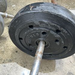 Weights 
