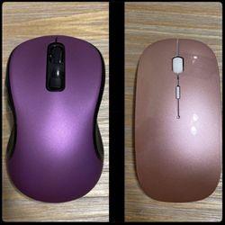 Purple And Pink Mouse