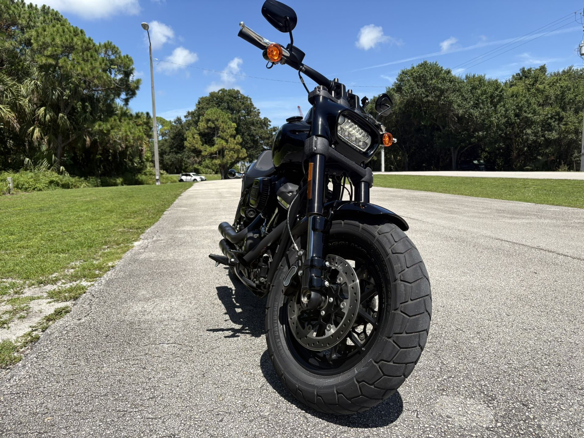 2019 Harley Davidson Fatbob