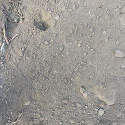 Free Dirt