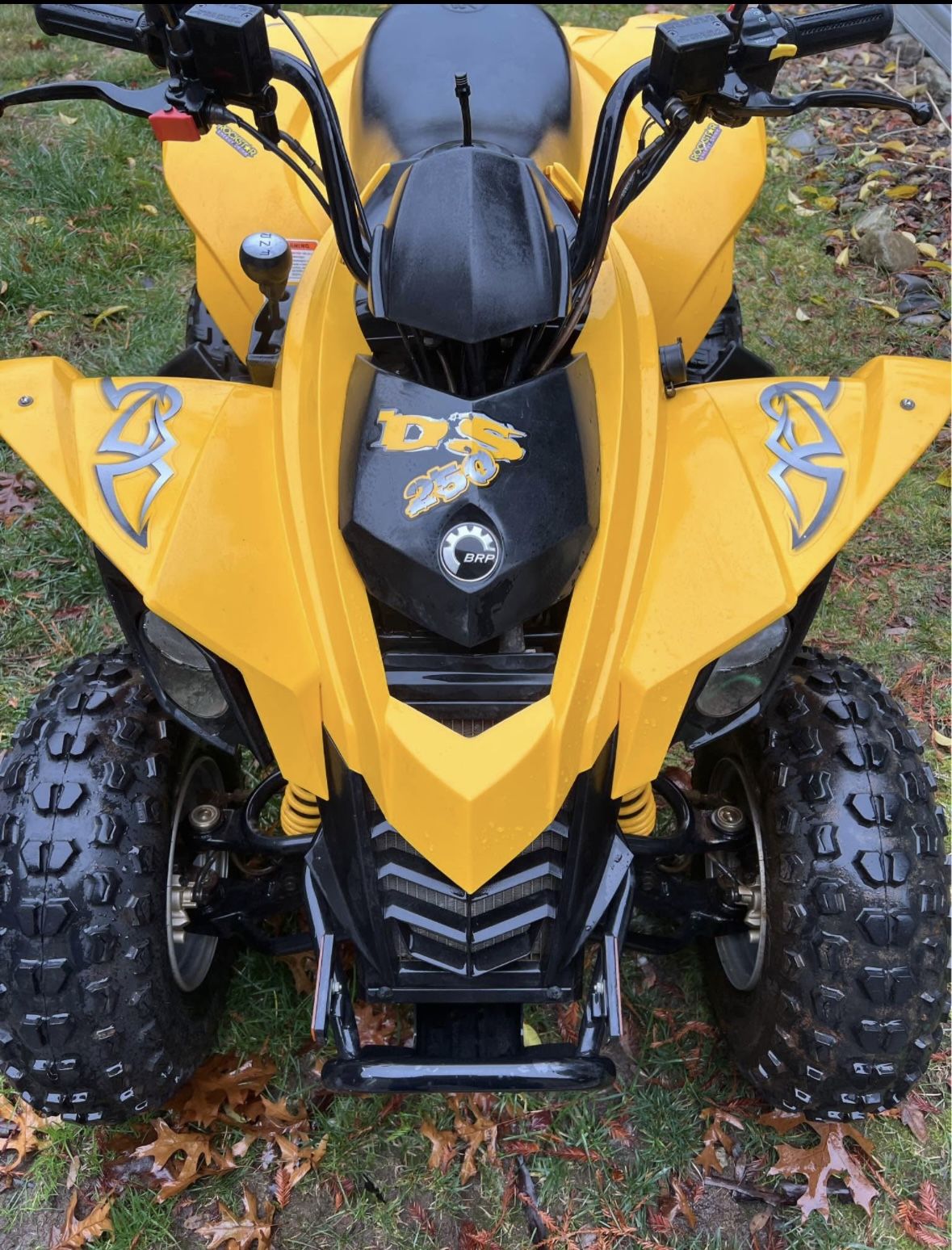 Can Am Ds 250