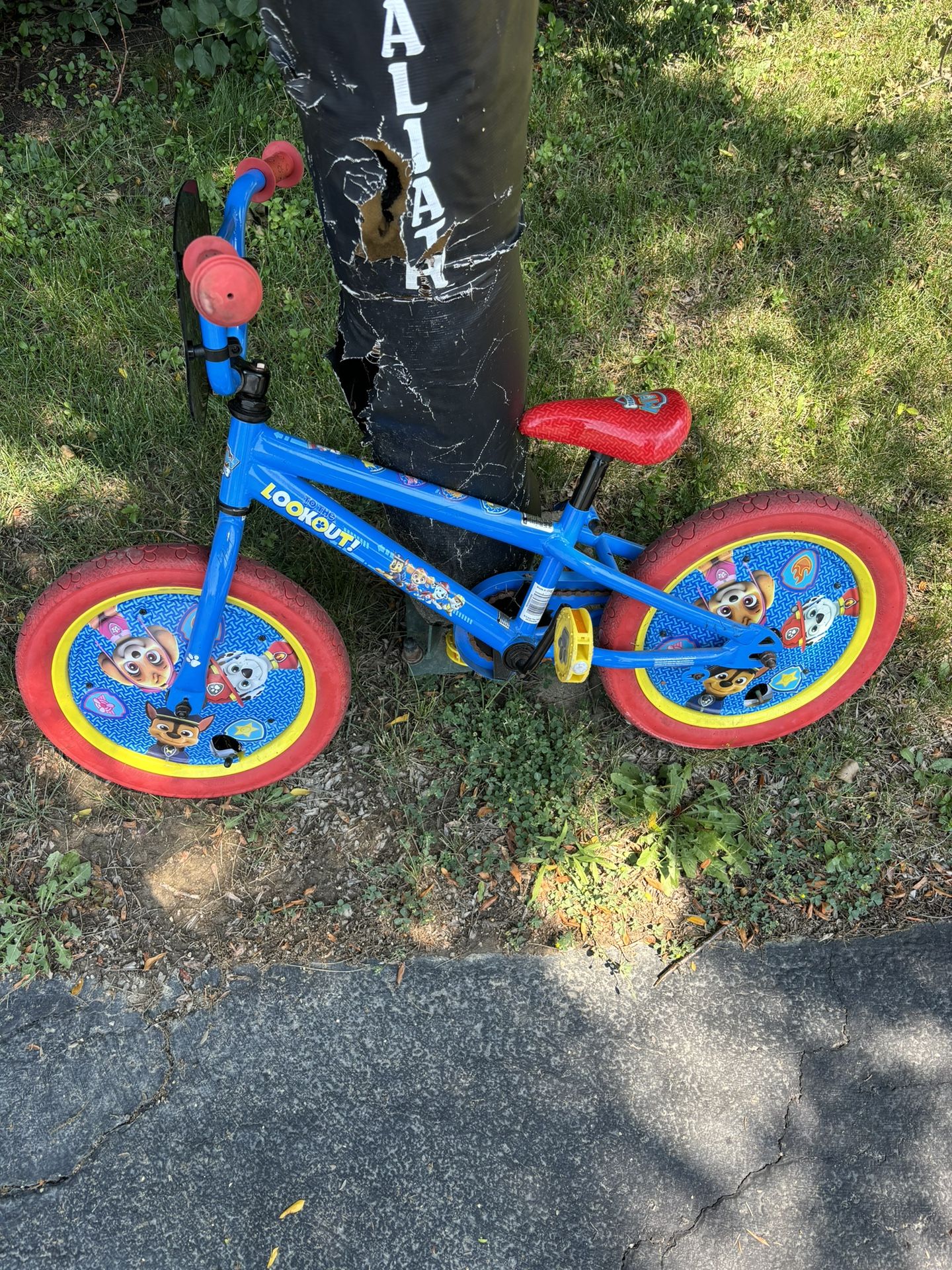 Paw Patrol kids bike