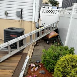 Ladder 24 Ft