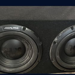 Bass Alpine 12s