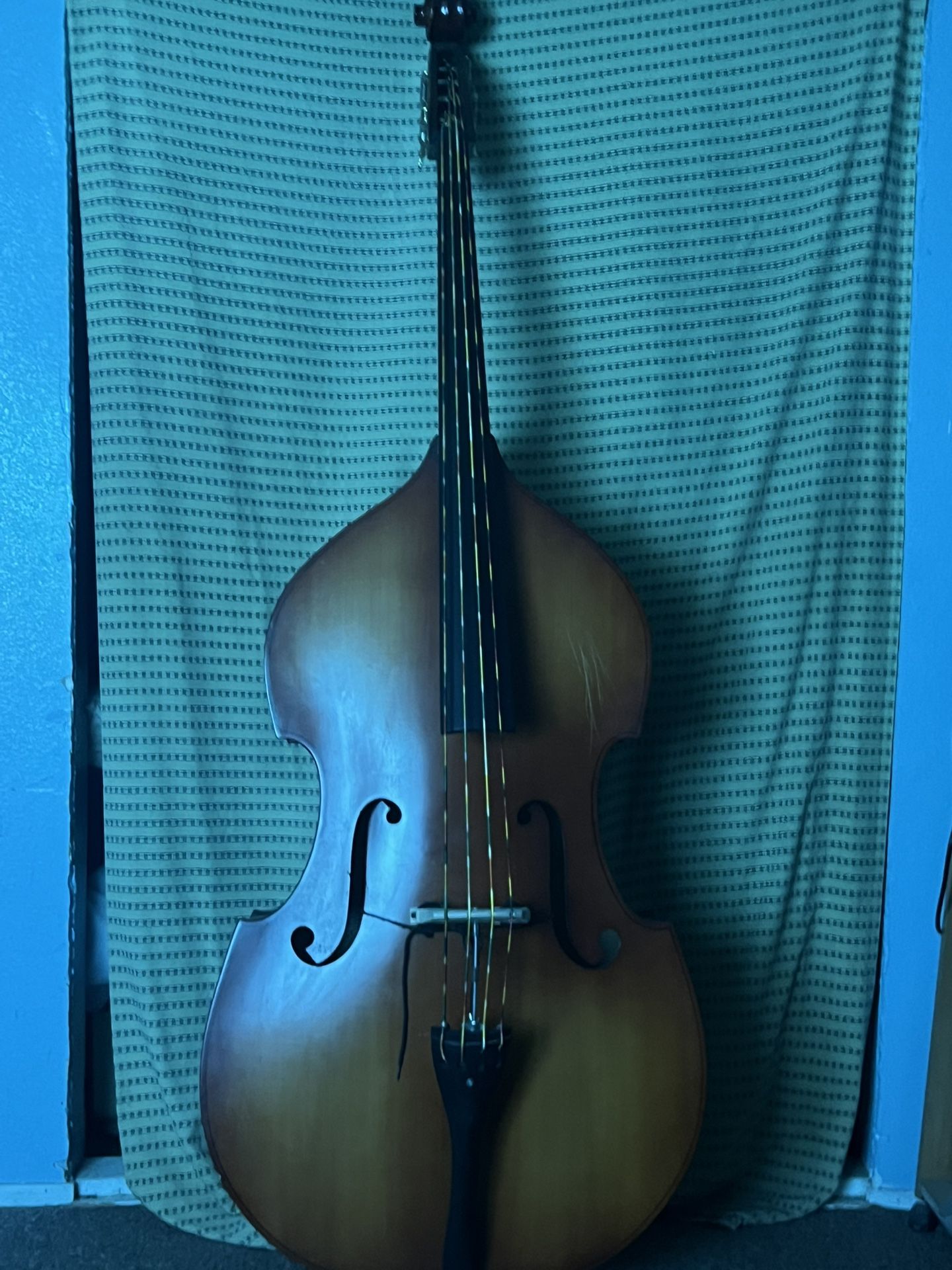 Tololoche… Upright Bass