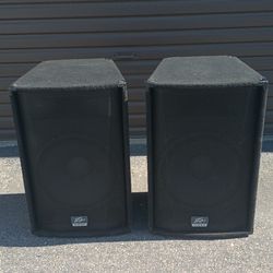 Pair Of 15 Inch Peavey Speakers TLS 5X 500 Watts Each