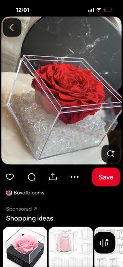 Rosas Eternas / Eternal Roses