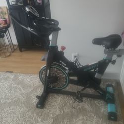 Poboo Clever Fitness Spin Bike