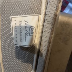 2 full  size Serra mattresses and 1 box spring