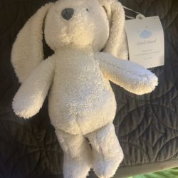 Teddy Bunny