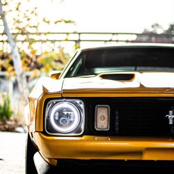 Mustang Fastback Mach1 - Fully Restored, Gorgeous And Loud Machine 