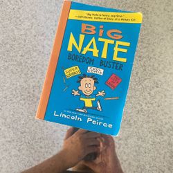 Big Nate Book