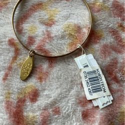 NWT Bronze Bangle 