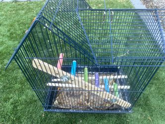 Parakeets cage