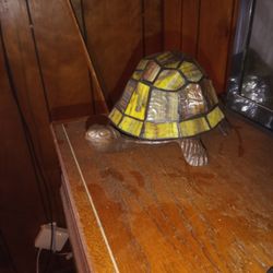Vintage Turtle Lamps