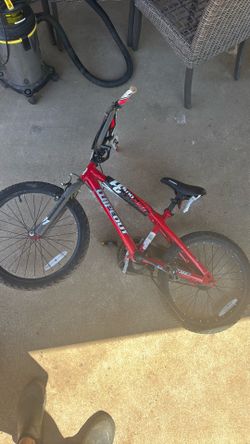 Dynacraft 20” bike.