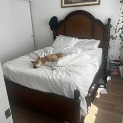 Isla Palm Boho Bed Frame And Box Spring 