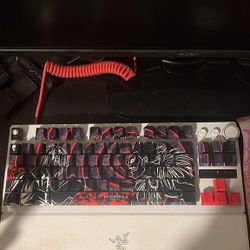 custom razer huntsman with coil cord