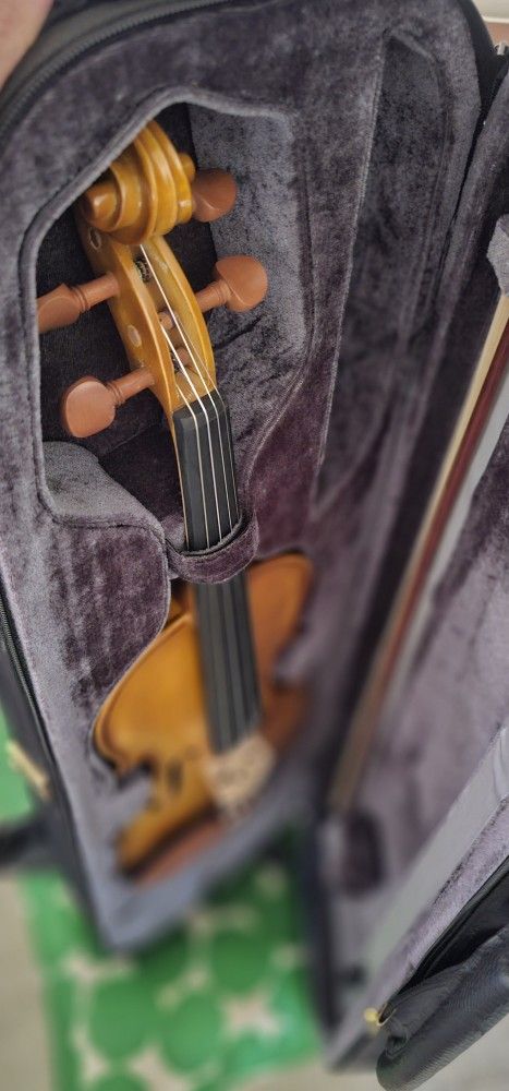 Violin