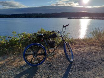 Schwinn 50cc motor bike