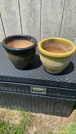 Pot plant set