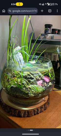 Aquarium for sale
