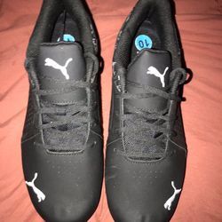 Puma