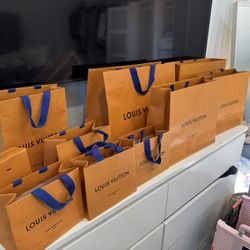 Louis Vuitton Paper Bag 