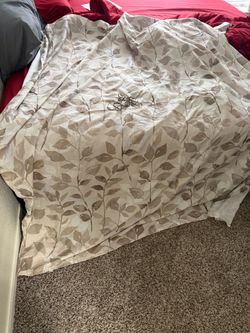 Shower Curtain W/Hooks