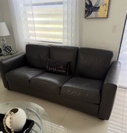 Leather coach with queen pull out bed