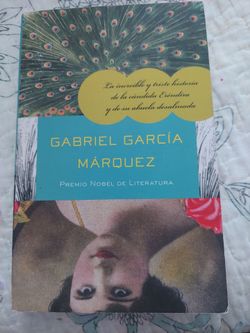Libro en Español