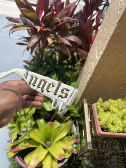 Palm Angel Sunglasses . (Unisex)