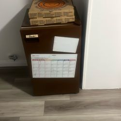 Mini Fridge 
