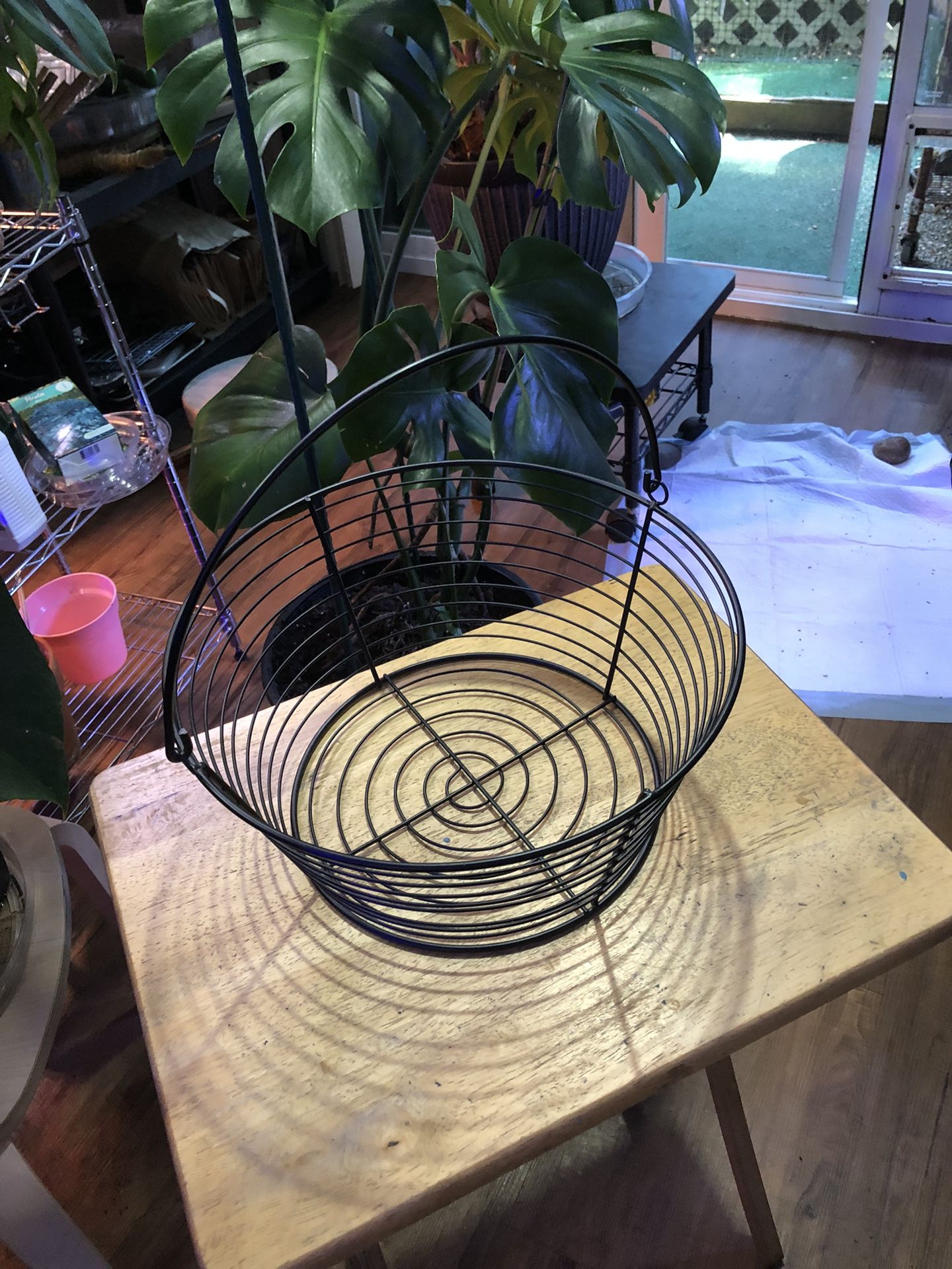Wire Basket 