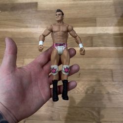 WWE Action Figure 