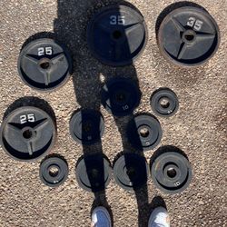 Weights And 45lb Bar